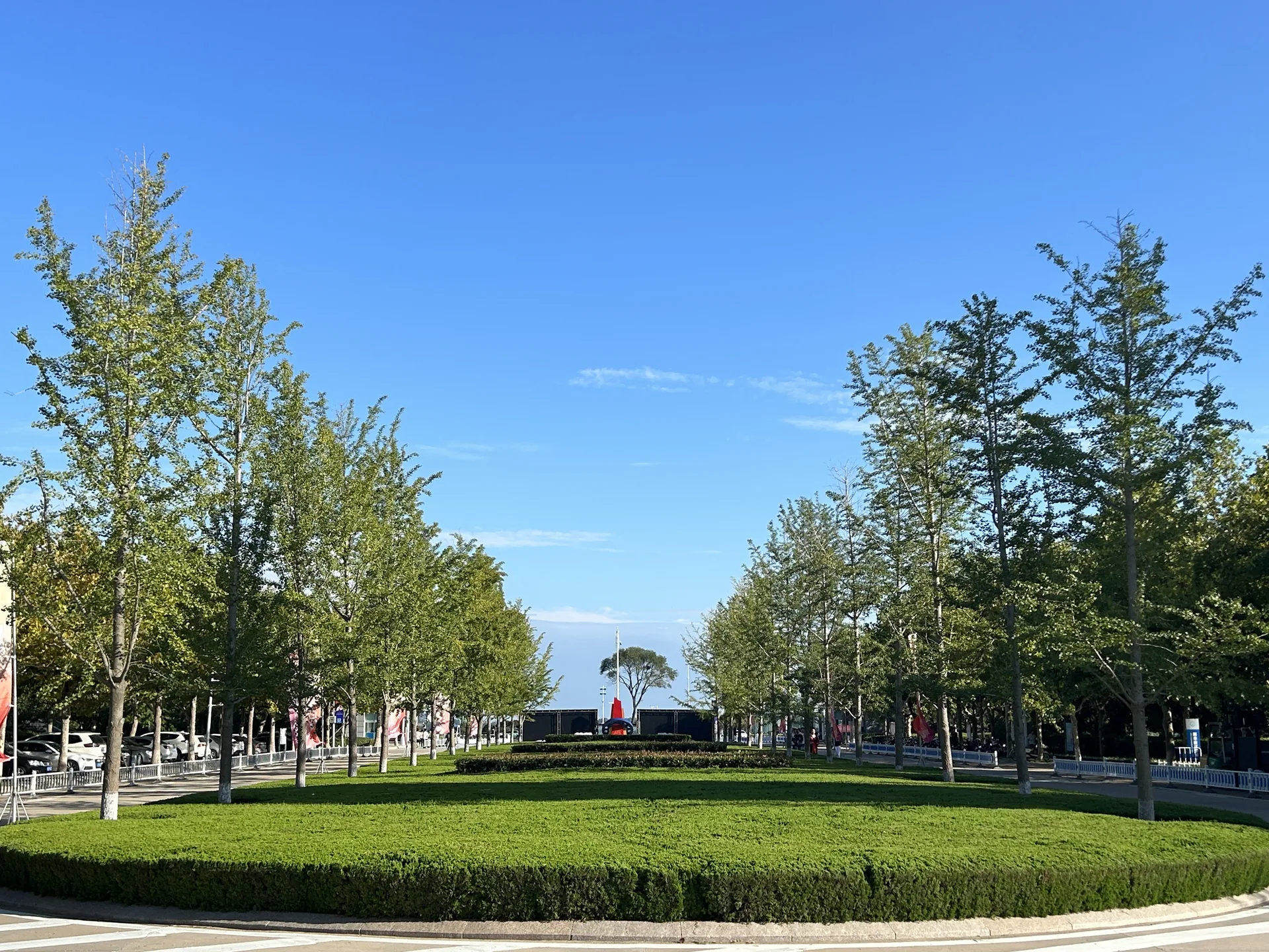 蓝天下绿树成行的校园道路 / A tree-lined campus road beneath a blue sky